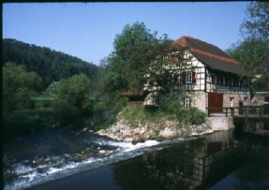 Oelmdoe1
